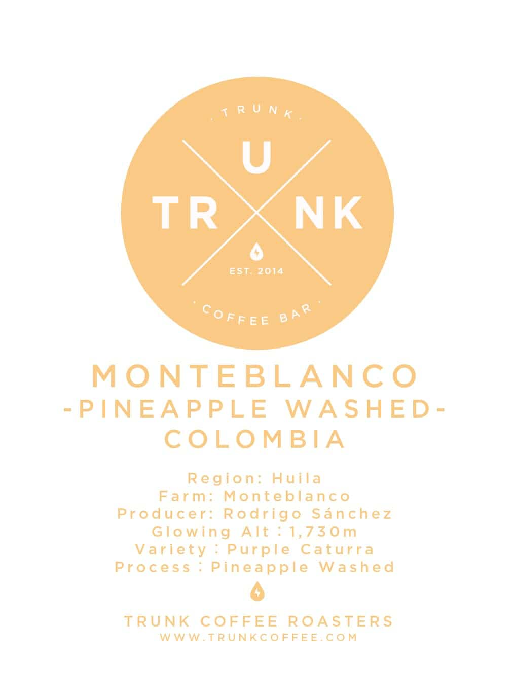 Colombia - MONTEBLANCO | Purple Caturra PINEAPPLE WASHED