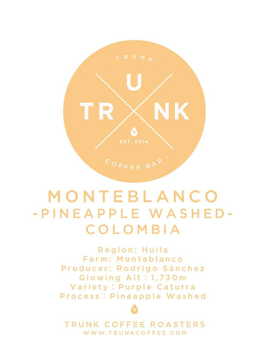 Colombia - MONTEBLANCO | Purple Caturra PINEAPPLE WASHED