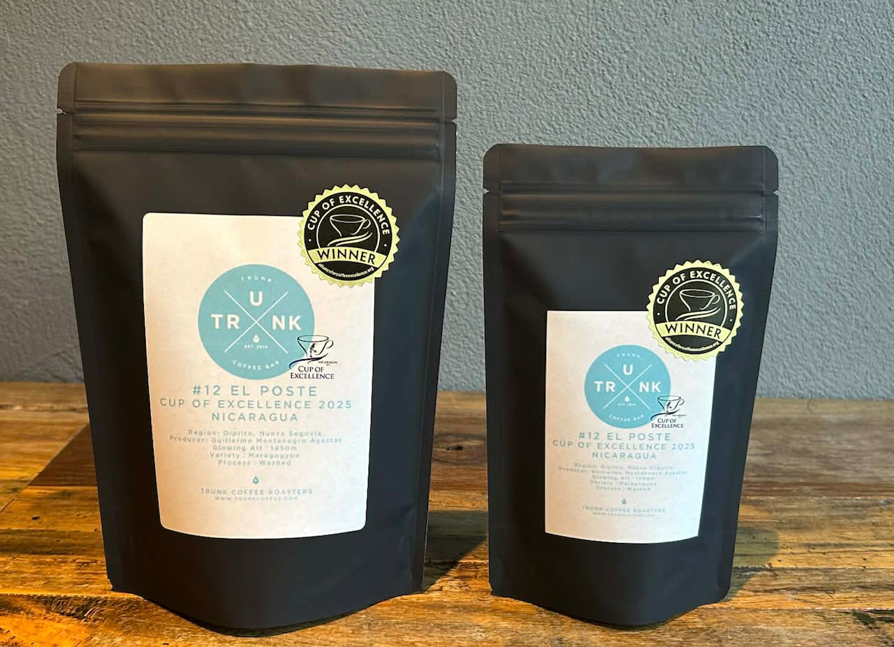 Nicaragua - EL POSTE | Maragogype Washed (#12 CUP OF EXCELLENCE 2025)
