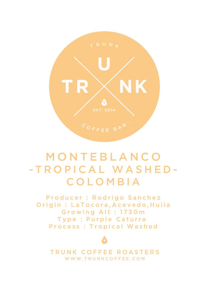 Colombia - MONTEBLANCO | Purple Caturra Tropical Washed