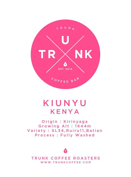 Kenya - KIUNYU | SL34, Ruiru11, Batian Washed