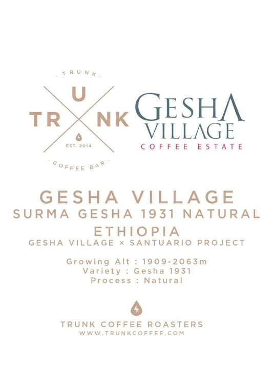 Ethiopia - GESHA VILLAGE X SANTUARIO PROJECT | Surma Gesha 1931 Natural [COMPETITION]