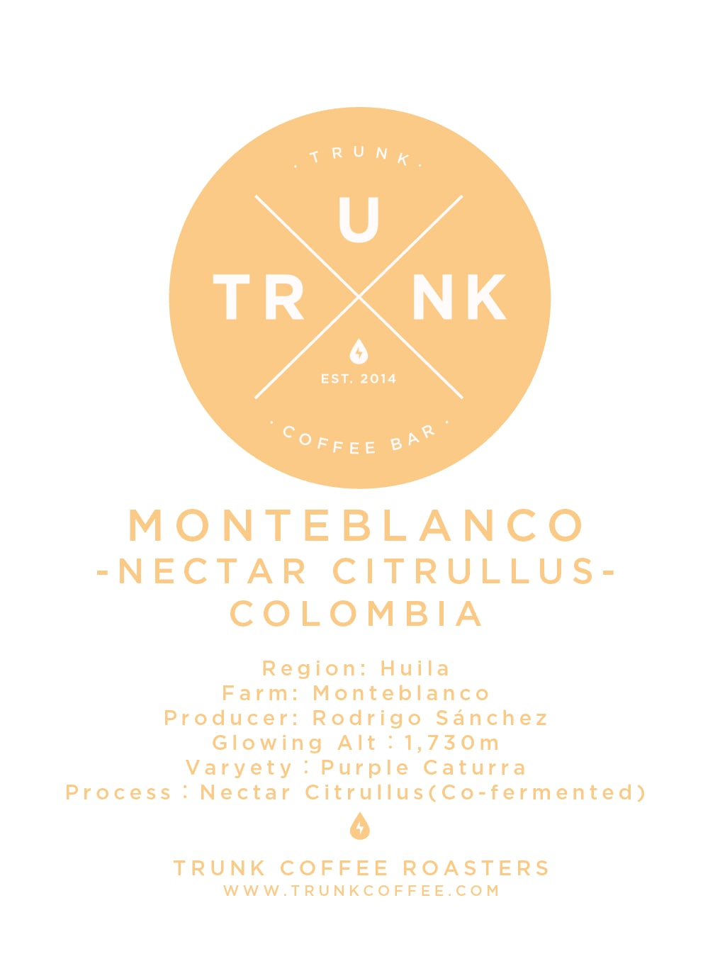 Colombia - MONTEBLANCO | Purple Caturra, Bourbon "Nectar Citrullus"