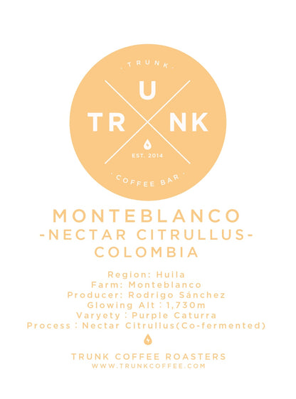 Colombia - MONTEBLANCO | Purple Caturra, Bourbon "Nectar Citrullus"