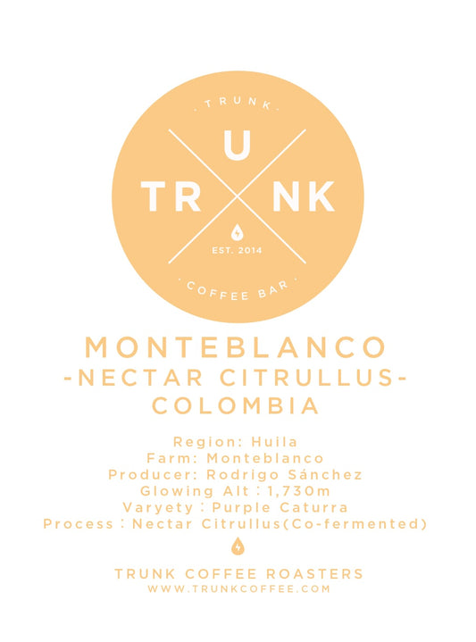 Colombia - MONTEBLANCO | Purple Caturra, Bourbon "Nectar Citrullus"
