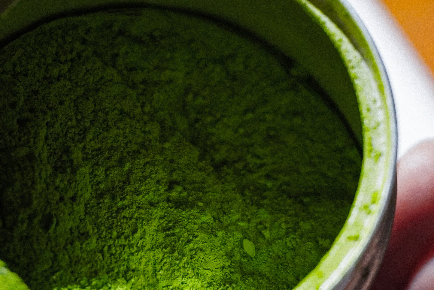 TRUNK CEREMONY MATCHA